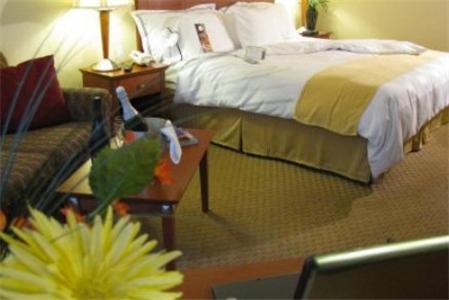 Charleston Airport Hotel North Charleston Phòng bức ảnh