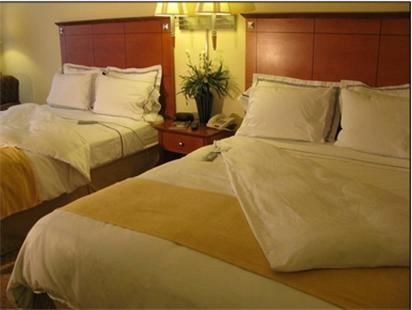 Charleston Airport Hotel North Charleston Phòng bức ảnh